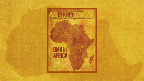 BMB stories from Africa