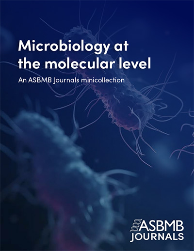 JBC metabolism cover