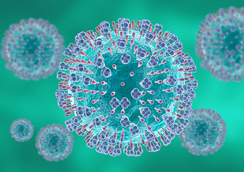 Microscopic Respiratory Syncytial virus causes infections of the respiratory tract and lungs in newborns and young children.