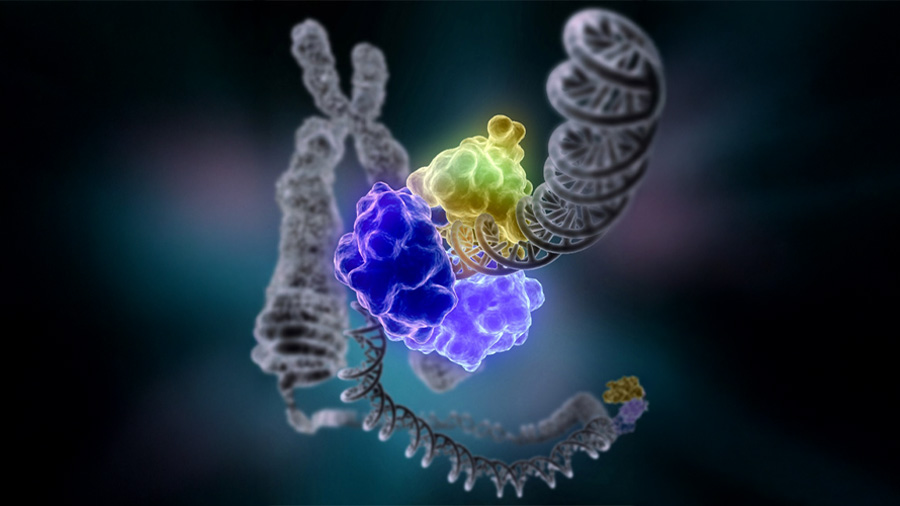Scientists identify pan-cancer biomarkers