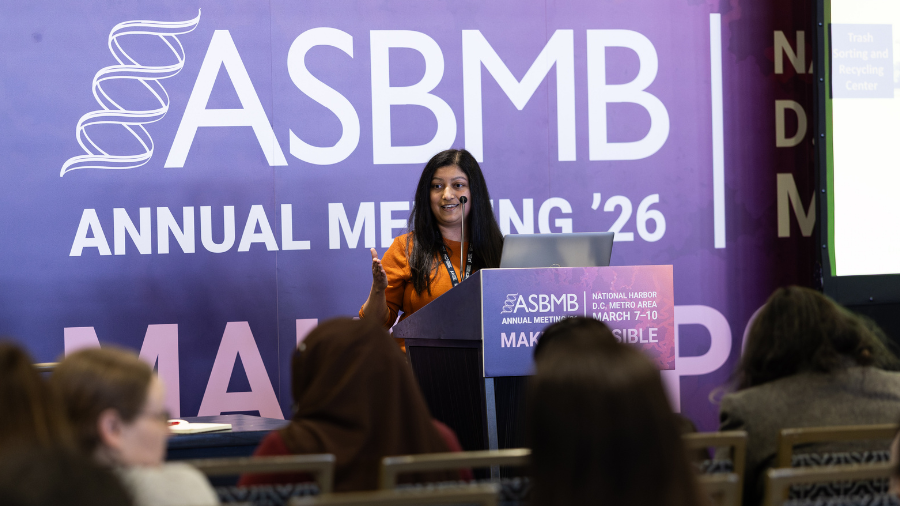 Upcoming opportunities