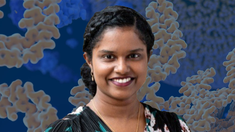 Kozul honored by Washington University