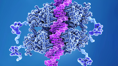 AI unlocks the hidden grammar of gene regulation