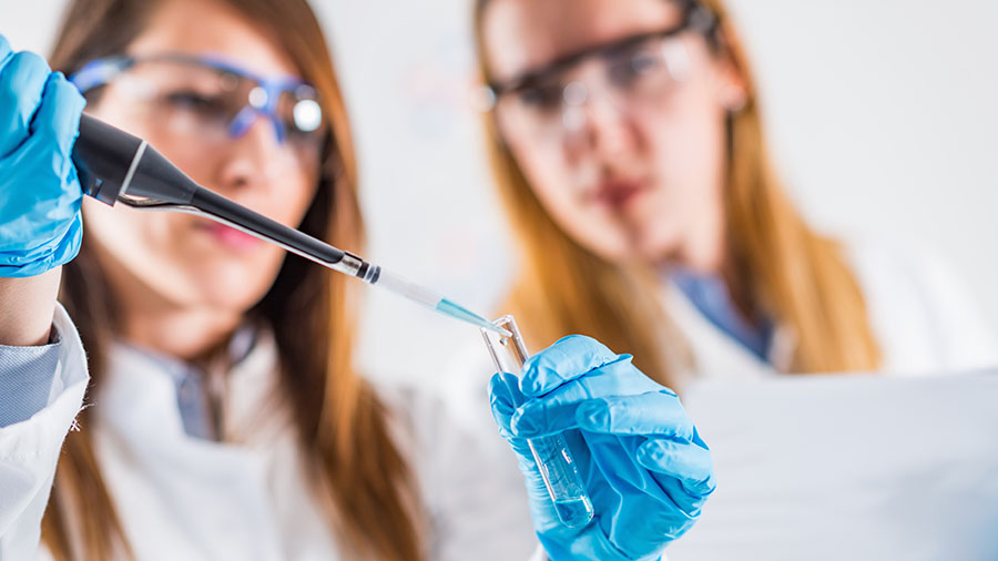 Mentorship and uncertainty: Lessons from Telemachus