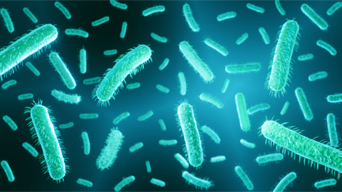 Revealing what makes bacteria life-threatening