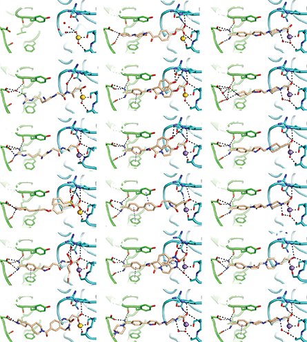 The team made some of its discoveries using X-ray crystallography, a painstaking method for determining the molecular structures of proteins. These are some of the resulting diagrams of drugs bound to the clot-related integrin.