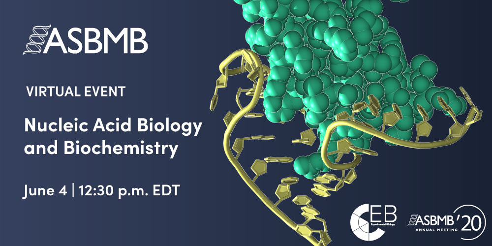 Nucleic acid biology and biochemistry