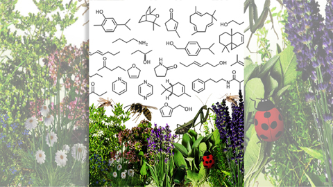 Computational tool helps scientists create novel bug sprays
