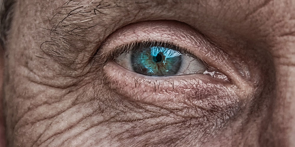 Une nouvelle forme d’oméga-3 pourrait prévenir le déclin visuel avec la maladie d’Alzheimer