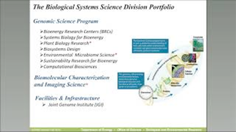 Systems biology research in DOE's Office of Biological and Enviromental Research