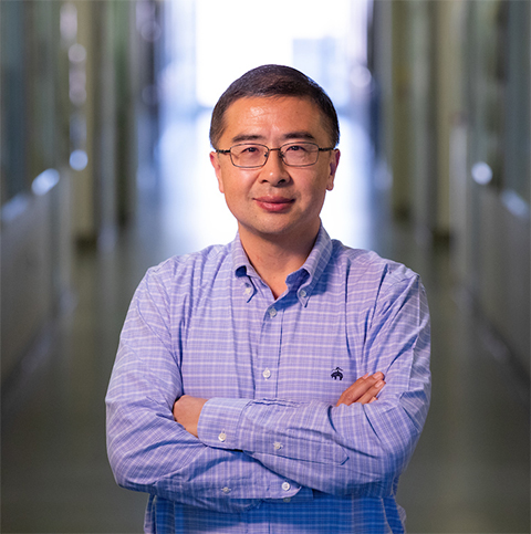 Yan Zhao is working to develop synthetic catalysts that could help industry break down plant fibers for fuels and chemicals.