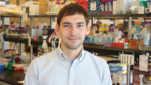 Postdoc wins Tabor award for lipid membrane research