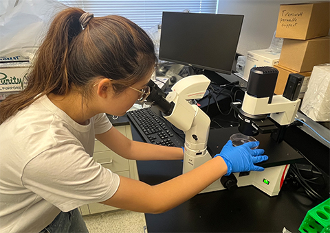 Suhjin Lee studied neuronal development and CtBP1 in the lab of Uthayashanker Ezekiel at Saint Louis University.