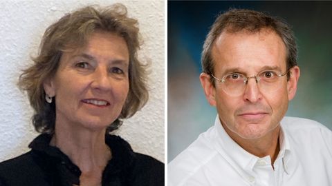 Miller named distinguished professor; UVA appoints Garcia–Blanco 