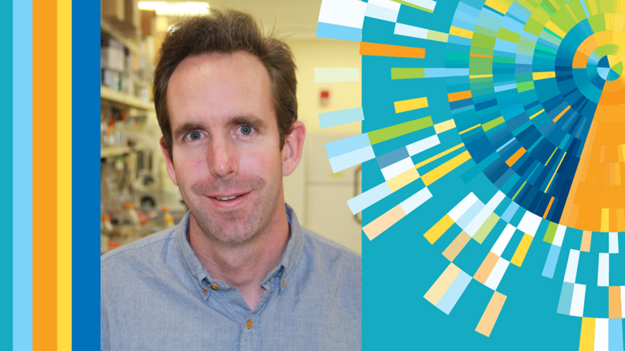 Snapshots of lipid synthesis and fat storage