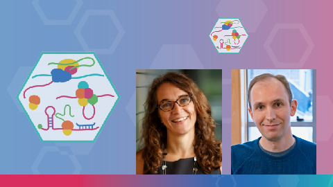 Processing and translating RNA in health and disease