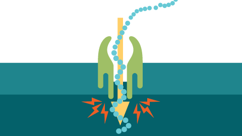 The scramble for protein nanopore sequencing