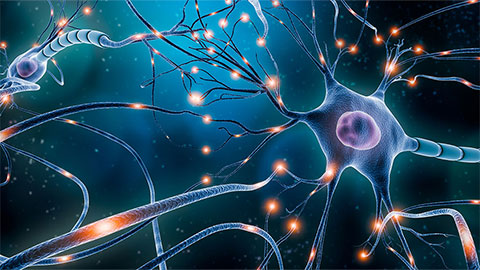 Reimagining drugs for rare brain disorder 
