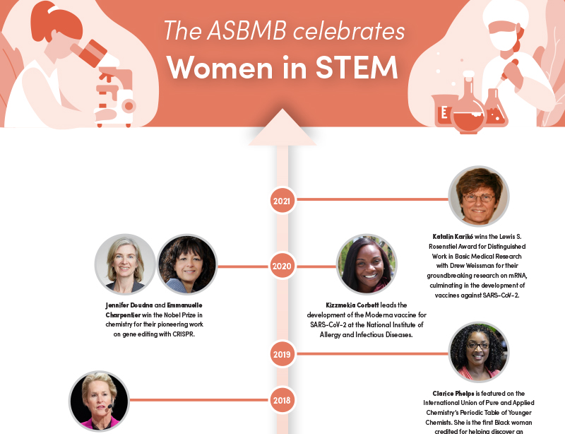 women in STEM timeline