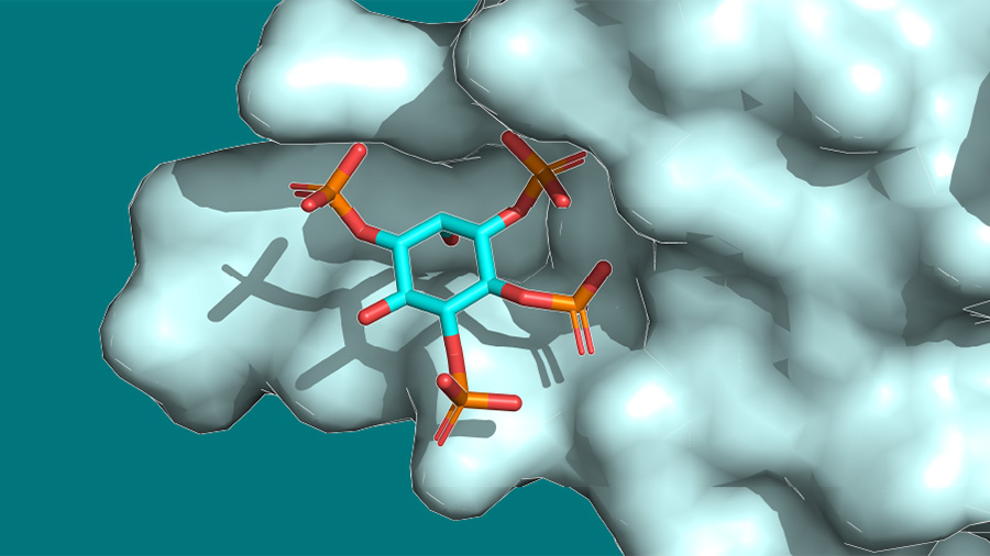 Lipid–protein interactions image