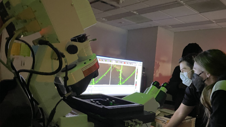 Exploring careers in microscopy