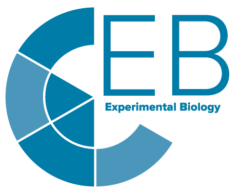 EB2021 logo