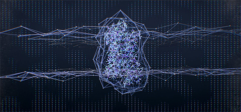 By looking at each individual component of the β2 adrenergic receptor and seeing how they contribute to the overall function of the protein, researchers from St. Jude along with international collaborators are able to view the network that allows ligand binding to be translated across the membrane to within the cell. Artwork by Zhaowen Luo.