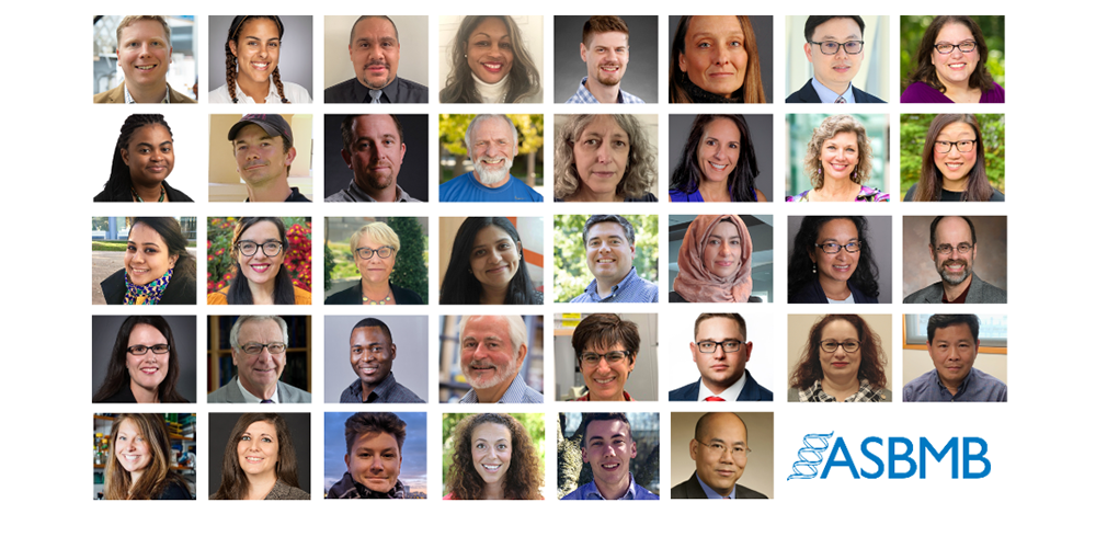 New ASBMB committee members