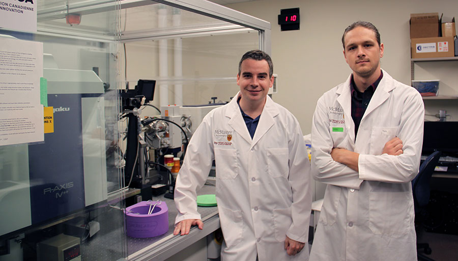 Nathan Bullen (left) and John Whitney (right) examine crystals of the purified toxin, which they used to solve its 3-dimensional structure through X-ray crystallography