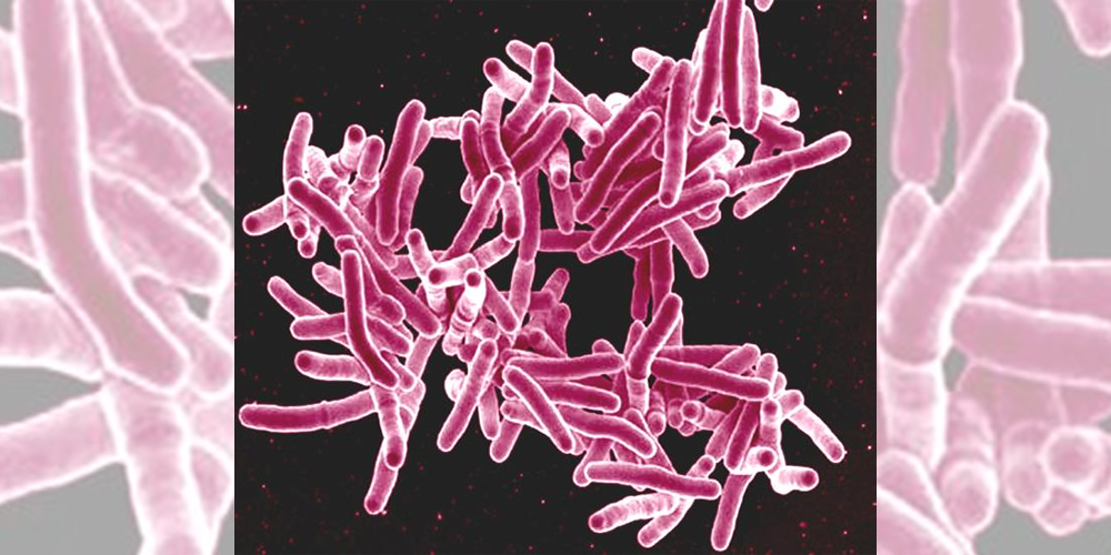 From the journals: JBC - ASBMB Today