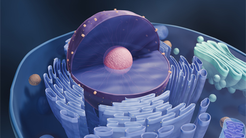 Where the heck did all those structures inside complex cells come from?