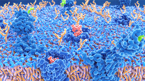 Partial agonist drug design for cannabinoid receptors