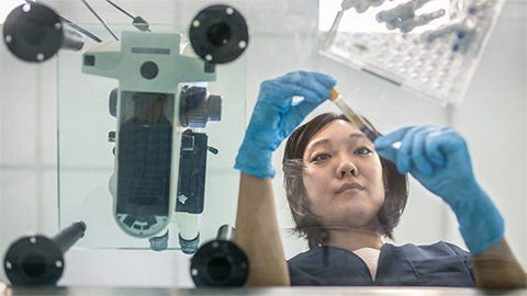Severe staffing shortages in medical laboratories