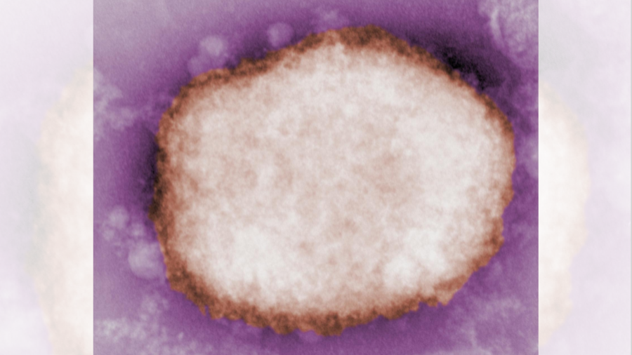 Is there a mystery in the monkeypox antiviral?