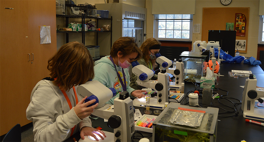 Students look through microscopes during the “Seeding your Future” workshop series at Shepherd University in West Virginia.