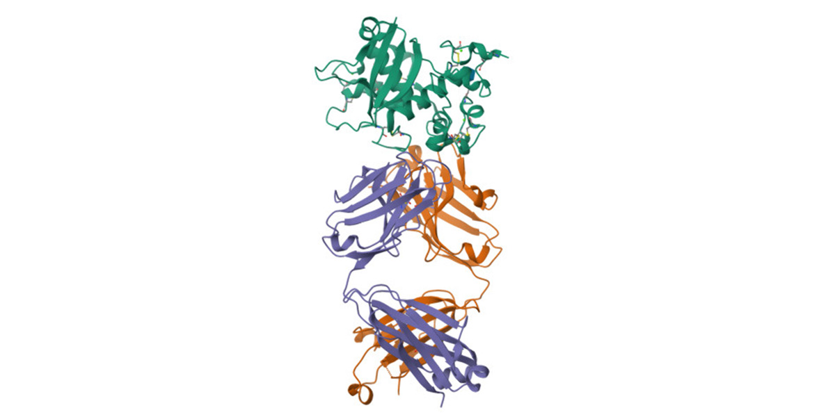 Glow-based assay for detecting protein mutations