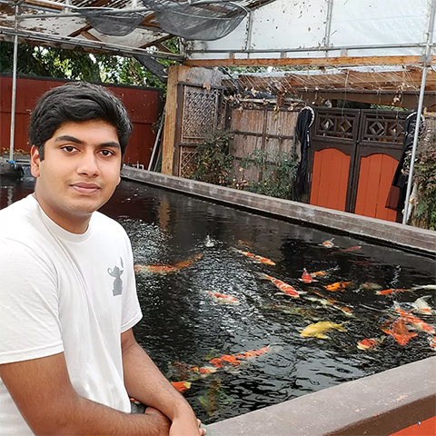 Indeever Madireddy keeps and cares for more than 100 fish in indoor and outdoor tanks at his home in California.