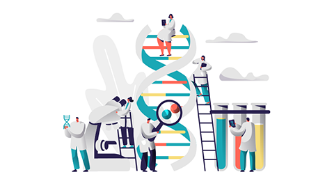 Climbing the research ladder in industry 