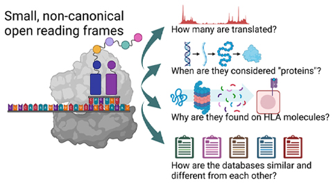 Improvements in genome databases promising for cancer research