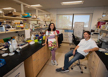 Sihem Cheloufi (left) and Jernej Murn are assistant professors of biochemistry at UC Riverside.