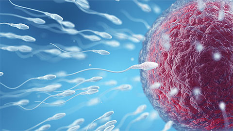 New diagnostic finds intact sperm in infertile men