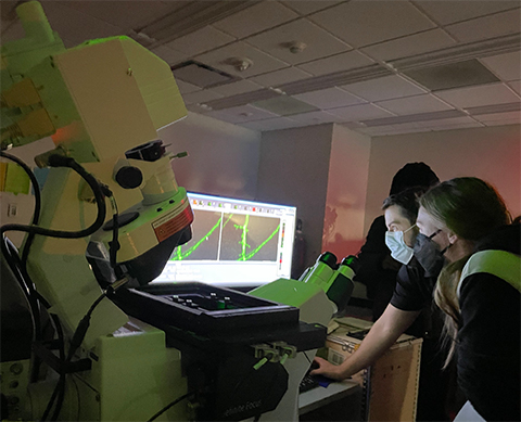 Optimizing the imaging of cultured neurons during the LSM980 training.