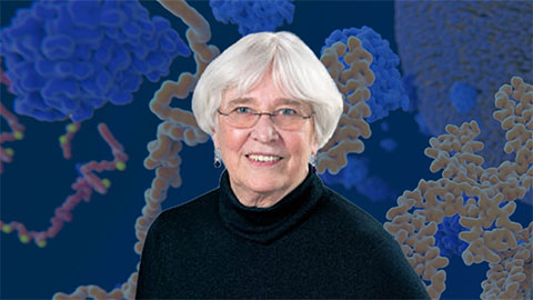 Kimble honored for lifetime achievement in genetics