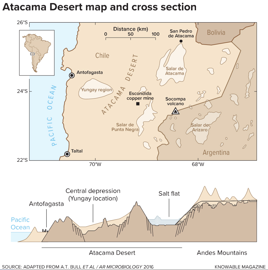 Several factors contribute to the Atacama’s extreme dryness. Moisture from prevailing southeast trade winds hits the Andes and condenses as rain on their eastern (non-desert) side. Moisture in any descending warm air evaporates before becoming rain due to high air pressure. And to the west, the cold waters of the Pacific Ocean’s Humboldt Current chill the air so it can’t carry much water vapor.