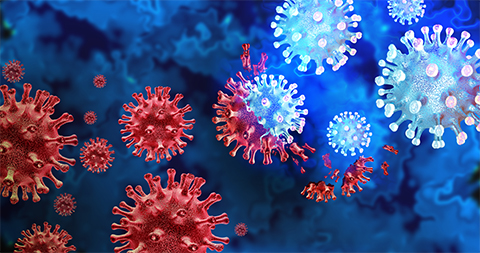 The SARS-CoV-2 virus can evade the complement system by molecular mimicry.