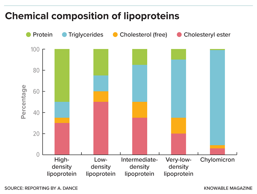 TLipoproteins are made up of protein, fat in the form of triglycerides, and cholesterol — both free cholesterol and a chemically modified, cholesteryl ester, form. The proportion of each varies with lipoprotein type.