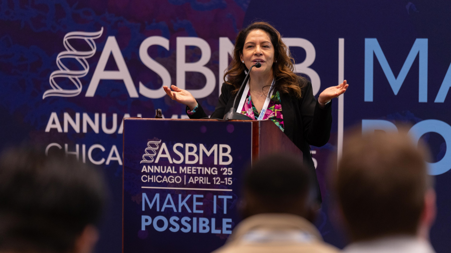 Upcoming opportunities