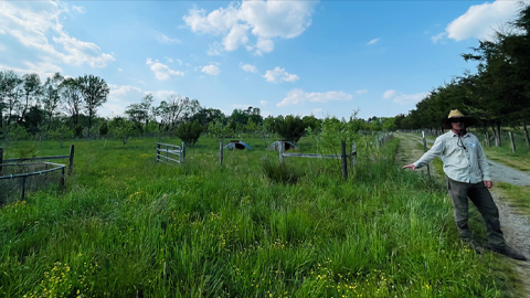 Regenerative agriculture: A boost for soil health