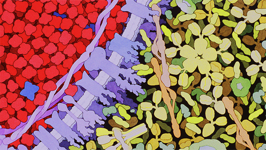 PDB50: A special symposium celebrating the 50th anniversary of the Protein Data Bank