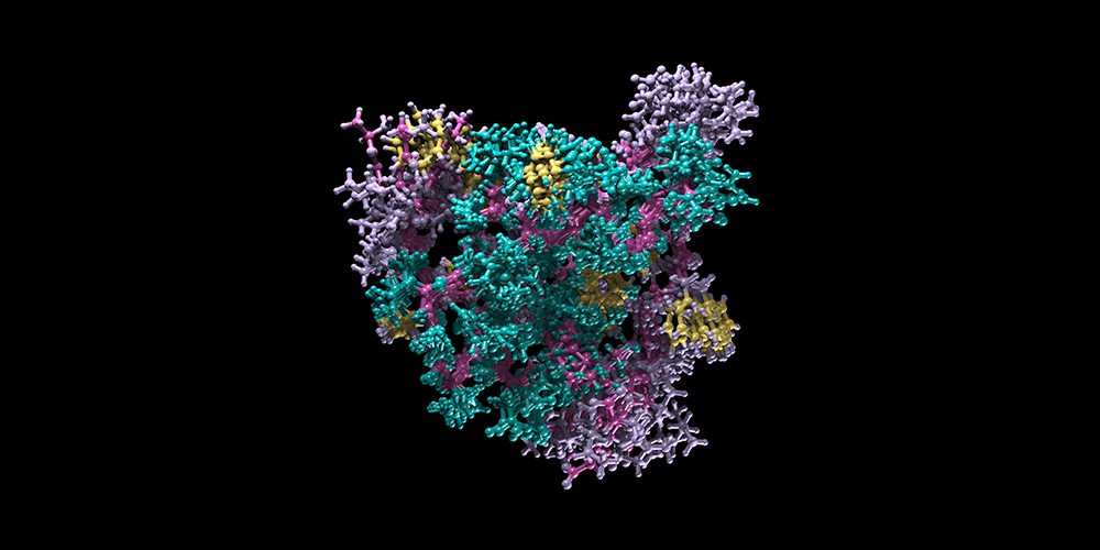 The evolution of proteins from mysteries to medicines
